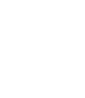 Lightning Protection Services